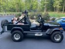 Annonce Jeep CJ5 CJ 