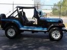 Annonce Jeep CJ5 CJ 