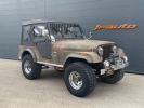 Voir l'annonce Jeep CJ5 CJ 5 5.0 V8