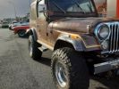 Annonce Jeep CJ5 CJ LAREDO 5.0 V8 304CI