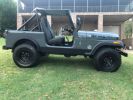 Annonce Jeep CJ7