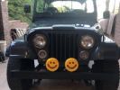 Annonce Jeep CJ7