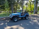 Achat Jeep CJ7 Occasion