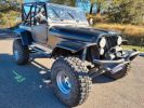 Voir l'annonce Jeep CJ7 4X4 V8 5.9i Préparation Tout Terrain