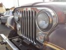 Annonce Jeep CJ7 CJ 7 LAREDO 5.0 V8 304CI