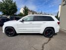 Annonce Jeep Grand Cherokee 6.4i - BVA  SRT Alpine