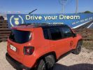 Annonce Jeep Renegade 2.0 170 cv bva AWD LOW TRAILHAWK