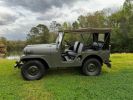 Jeep Willys M38A1  Occasion