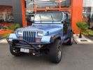 Annonce Jeep Wrangler 4.2L 6 CYLINDRES 1989 BLEUE