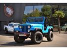 Voir l'annonce Jeep Wrangler CJ5 5.0 L V8 AMC