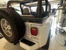 Annonce Jeep Wrangler renegade 