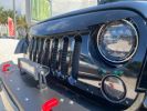 Annonce Jeep Wrangler Sahara Série Limitée Platinium Edition