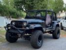 Voir l'annonce Jeep Wrangler yj 