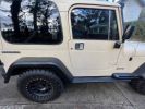 Voir l'annonce Jeep Wrangler Yj 