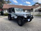 Voir l'annonce Jeep Wrangler yj 