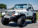 Annonce Jeep Wrangler YJ 4.2 4X4 Automaat SOFT TOP - OLDTIMER - LED KOPLAMPEN - BLAUPUNKT - ACHTERBANK