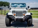 Annonce Jeep Wrangler YJ 4.2 4X4 Automaat SOFT TOP - OLDTIMER - LED KOPLAMPEN - BLAUPUNKT - ACHTERBANK