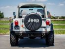 Annonce Jeep Wrangler YJ 4.2 4X4 Automaat SOFT TOP - OLDTIMER - LED KOPLAMPEN - BLAUPUNKT - ACHTERBANK