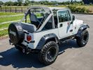 Annonce Jeep Wrangler YJ 4.2 4X4 Automaat SOFT TOP - OLDTIMER - LED KOPLAMPEN - BLAUPUNKT - ACHTERBANK