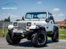 Annonce Jeep Wrangler YJ 4.2 4X4 Automaat SOFT TOP - OLDTIMER - LED KOPLAMPEN - BLAUPUNKT - ACHTERBANK