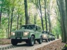 Voir l'annonce Land Rover Defender TD4 HERITAGE LIMITED EDITION