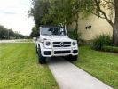 Annonce Mercedes Classe G wagon 