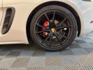 Porsche 718 Cayman - Photo 173348370