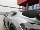 Porsche 718 Cayman - Photo 168403432