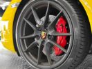 Porsche 991 - Photo 163976020