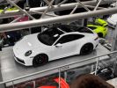 Porsche 992 - Photo 163443060