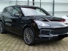 Porsche Cayenne - Photo 154392710