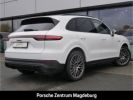 Annonce Porsche Cayenne Porsche Cayenne E-Hybrid Platinum Edition