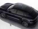 Porsche Cayenne - Photo 151555819