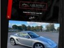 Porsche Cayman - Photo 136993327