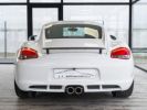 Porsche Cayman - Photo 173161848