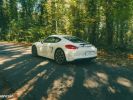 Porsche Cayman - Photo 168163487