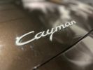 Porsche Cayman - Photo 171662893