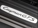 Porsche Cayman - Photo 134764564