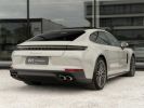 Porsche Panamera - Photo 163568978