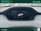 Annonce Skoda Enyaq iV 60