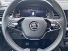 Annonce Skoda Kamiq 1.0 TSI 110 BV6 AMBITION Caméra Cockpit JA 17