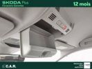 Annonce Skoda Kamiq 1.0 TSI 95 ch BVM5 Ambition