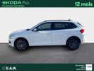 Annonce Skoda Kamiq 1.0 TSI 95 ch BVM5 Young Edition