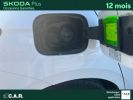 Annonce Skoda Kamiq 1.0 TSI Evo 110 ch DSG7 Young Edition