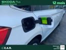 Annonce Skoda Kamiq 1.5 TSI 150 ch DSG7 Style