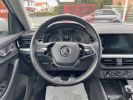 Annonce Skoda Kamiq 1.5 TSI 150ch BVM6 ACT Young Edition