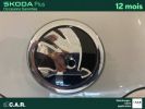 Annonce Skoda Karoq 1.0 TSI Evo 2 116 ch Selection