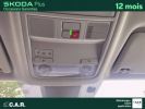 Annonce Skoda Karoq 2.0 TDI 116 ch SCR Business