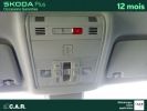 Annonce Skoda Karoq 2.0 TDI 116 ch SCR DSG7 Business