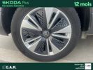 Annonce Skoda Karoq 2.0 TDI 116 ch SCR DSG7 Business